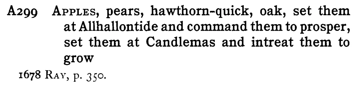 APPLES, pears, hawthorn-quick, oak, set them at Allhallontide and command them to prosper, set them at Candlemas and intreat them to grow - a scanned entry from Tilley's 1950 Dictionary of Proverbs.