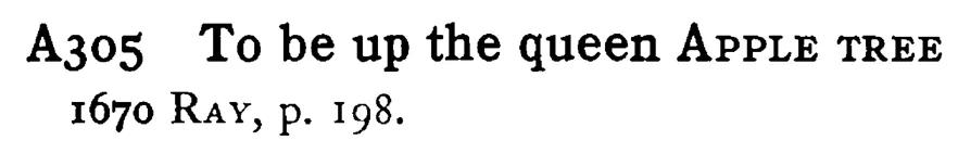 To be up the queen APPLE TREE - a scanned entry from Tilley's 1950 Dictionary of Proverbs.