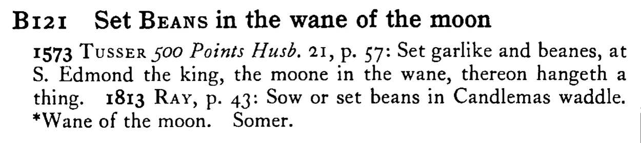 Set BEANS in the wane of the moon - a scanned entry from Tilley's 1950 Dictionary of Proverbs.