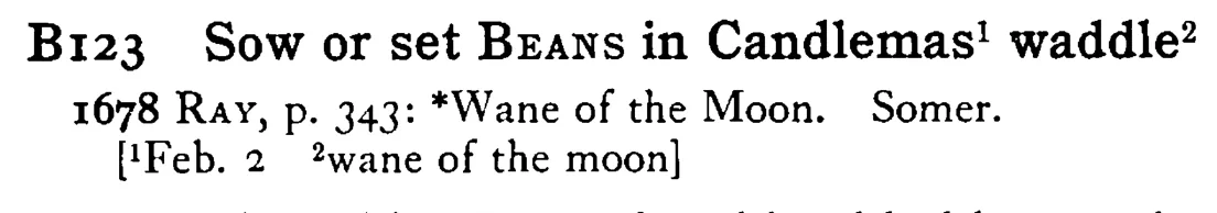 Sow or set BEANS in Candlemas¹ waddle² - a scanned entry from Tilley's 1950 Dictionary of Proverbs.