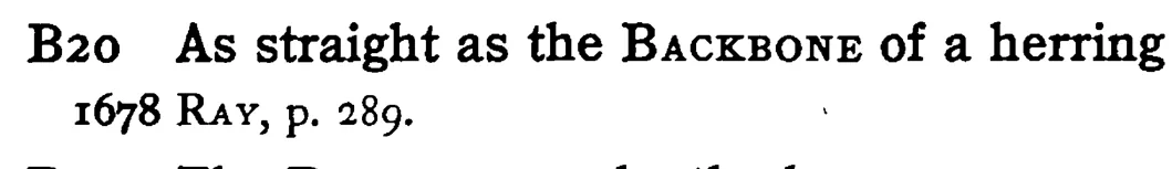 As straight as the BACKBONE of a herring - a scanned entry from Tilley's 1950 Dictionary of Proverbs.