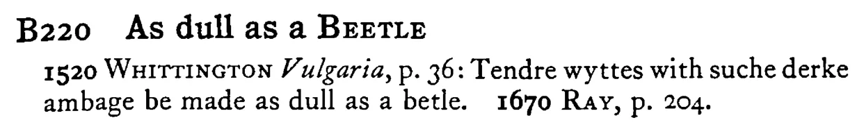 As dull as a BEETLE - a scanned entry from Tilley's 1950 Dictionary of Proverbs.