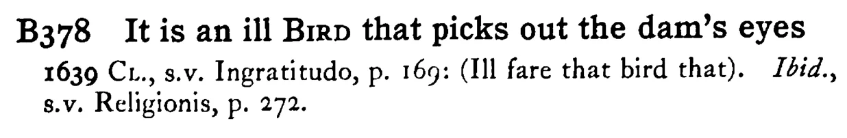 It is an ill BIRD that picks out the dam's eyes - a scanned entry from Tilley's 1950 Dictionary of Proverbs.