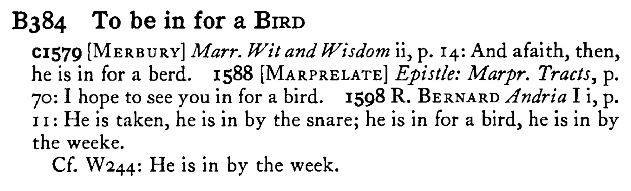 To be in for a BIRD - a scanned entry from Tilley's 1950 Dictionary of Proverbs.