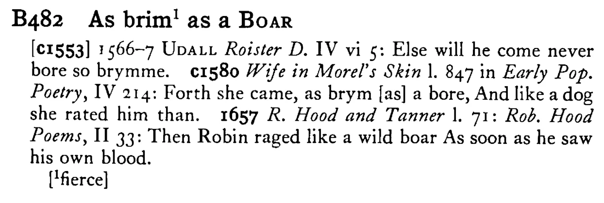 As brim¹ as a BOAR - a scanned entry from Tilley's 1950 Dictionary of Proverbs.