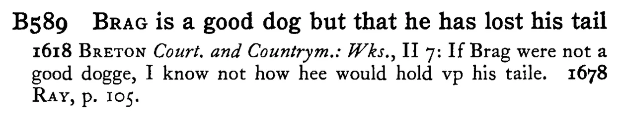 BRAG is a good dog but that he has lost his tail - a scanned entry from Tilley's 1950 Dictionary of Proverbs.