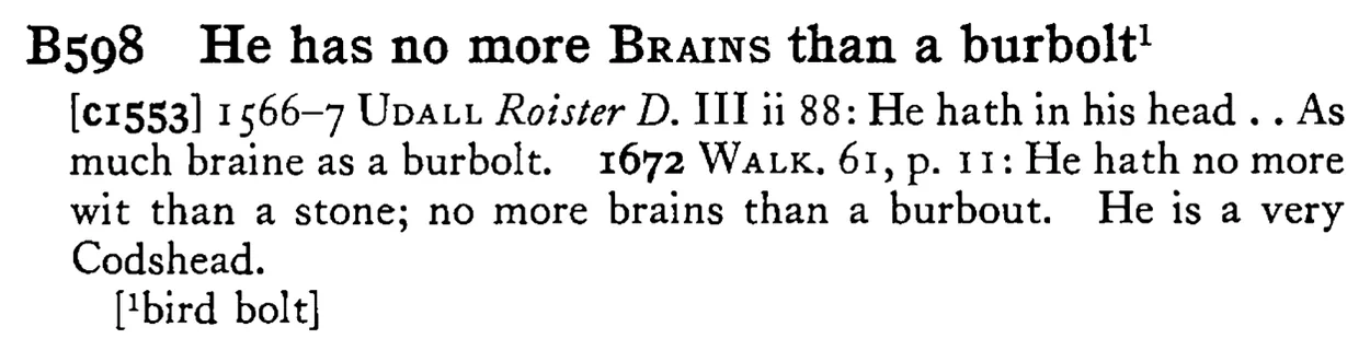 He has no more BRAINS than a burbolt¹ - a scanned entry from Tilley's 1950 Dictionary of Proverbs.