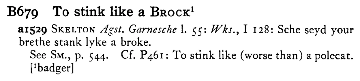 To stink like a BROCK¹ - a scanned entry from Tilley's 1950 Dictionary of Proverbs.