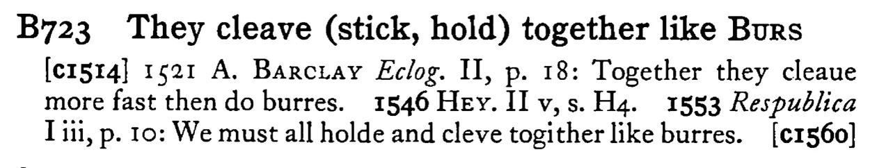 They cleave (stick, hold) together like BURS - a scanned entry from Tilley's 1950 Dictionary of Proverbs.