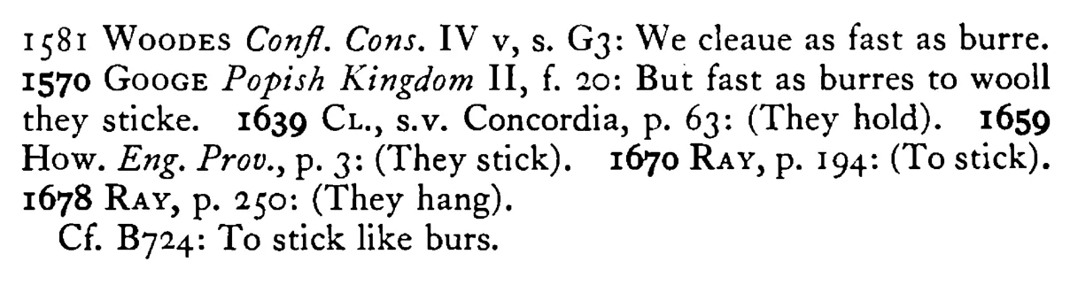 They cleave (stick, hold) together like BURS - a scanned entry from Tilley's 1950 Dictionary of Proverbs. (continuation)