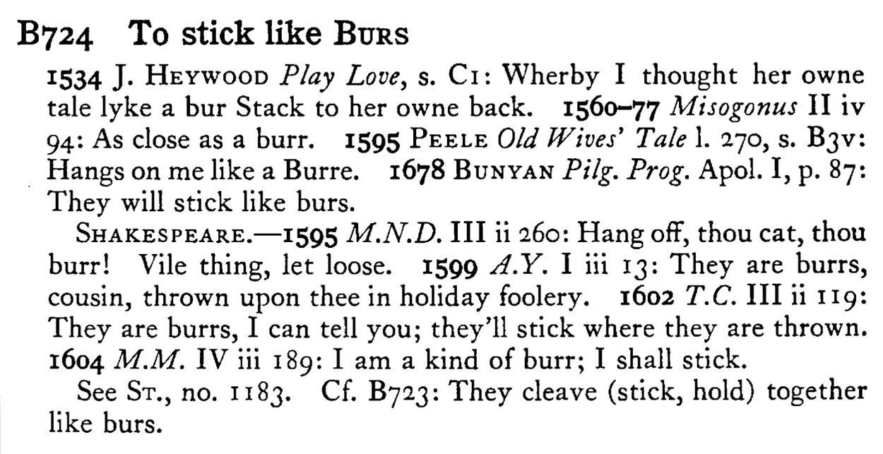To stick like BURS - a scanned entry from Tilley's 1950 Dictionary of Proverbs.