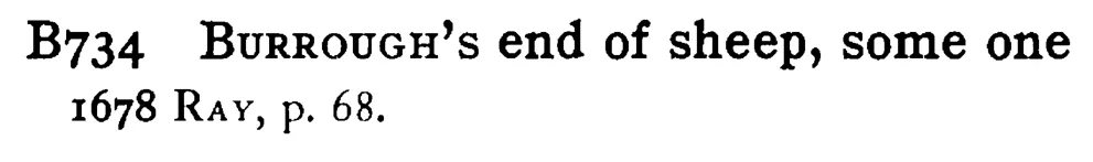 BURROUGH's end of sheep, some one - a scanned entry from Tilley's 1950 Dictionary of Proverbs.