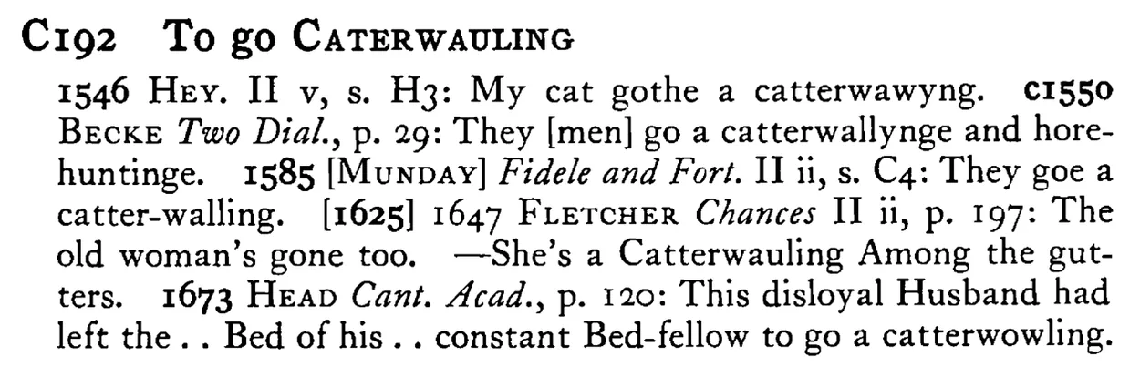 To go CATERWAULING - a scanned entry from Tilley's 1950 Dictionary of Proverbs.