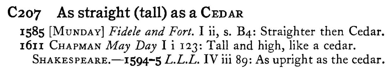 As straight (tall) as a CEDAR - a scanned entry from Tilley's 1950 Dictionary of Proverbs.