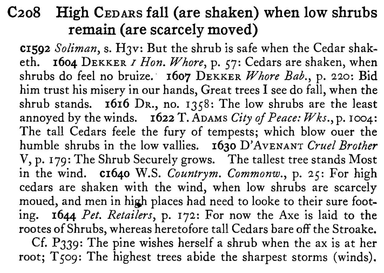 High CEDARS fall (are shaken) when low shrubs remain (are scarcely moved) - a scanned entry from Tilley's 1950 Dictionary of Proverbs.