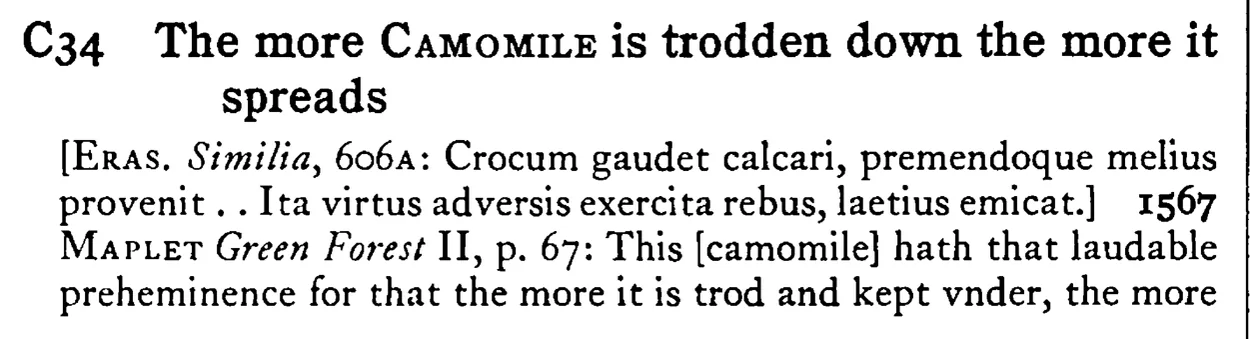 The more CAMOMILE is trodden down the more it spreads - a scanned entry from Tilley's 1950 Dictionary of Proverbs.