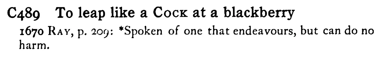 To leap like a COCK at a blackberry - a scanned entry from Tilley's 1950 Dictionary of Proverbs.