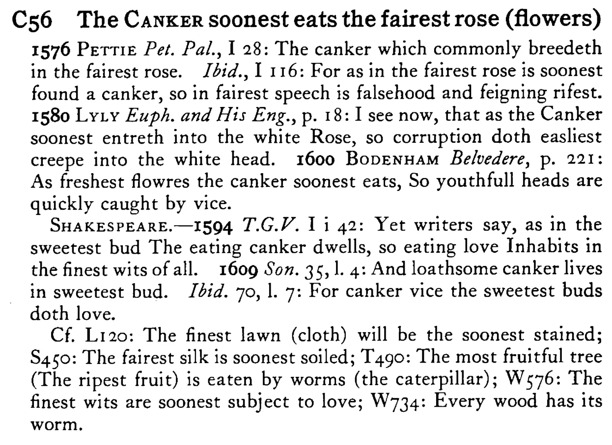 The CANKER soonest eats the fairest rose (flowers) - a scanned entry from Tilley's 1950 Dictionary of Proverbs.