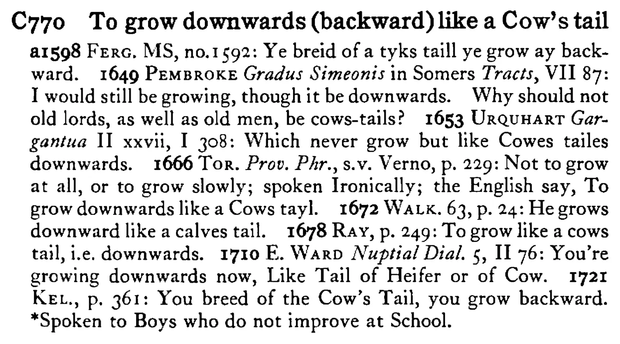 To grow downwards (backward) like a COW's tail - a scanned entry from Tilley's 1950 Dictionary of Proverbs.