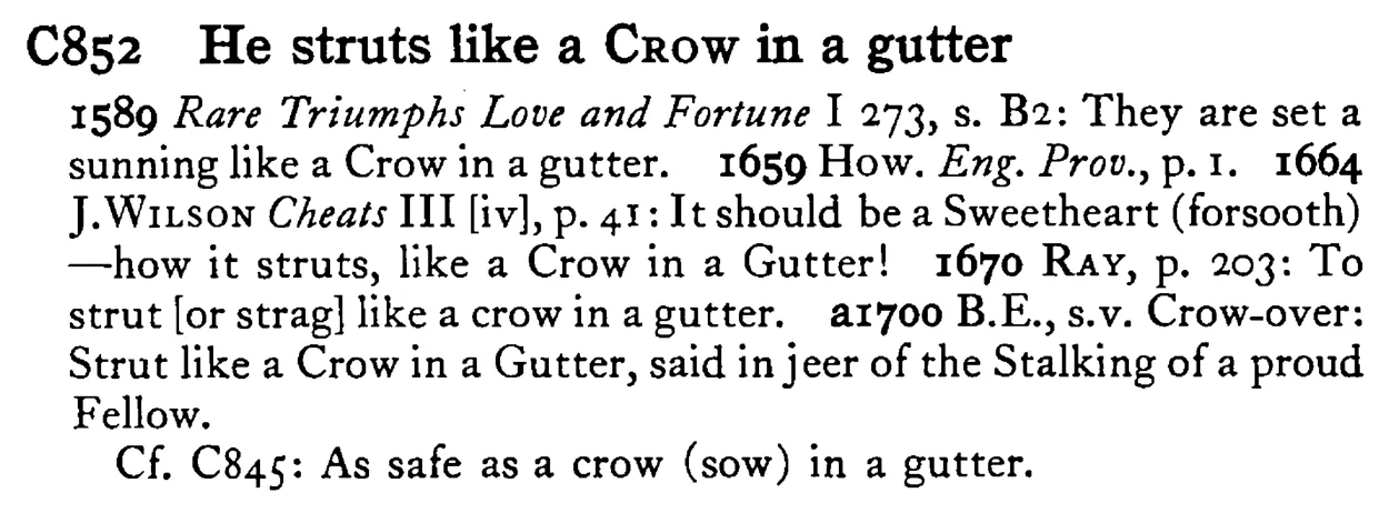 He struts like a CROW in a gutter - a scanned entry from Tilley's 1950 Dictionary of Proverbs.