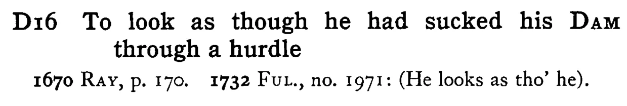 To look as though he had sucked his DAM through a hurdle - a scanned entry from Tilley's 1950 Dictionary of Proverbs.