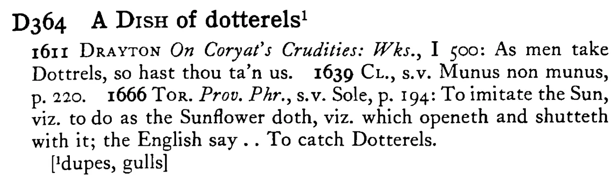 A DISH of dotterels - a scanned entry from Tilley's 1950 Dictionary of Proverbs.