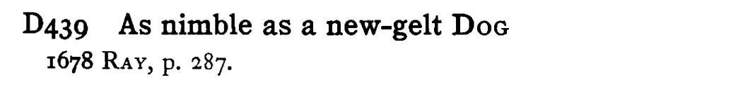 As nimble as a new-gelt DOG - a scanned entry from Tilley's 1950 Dictionary of Proverbs.