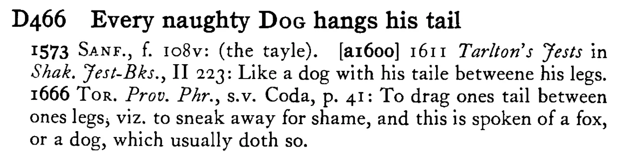 Every naughty DOG hangs his tail - a scanned entry from Tilley's 1950 Dictionary of Proverbs.
