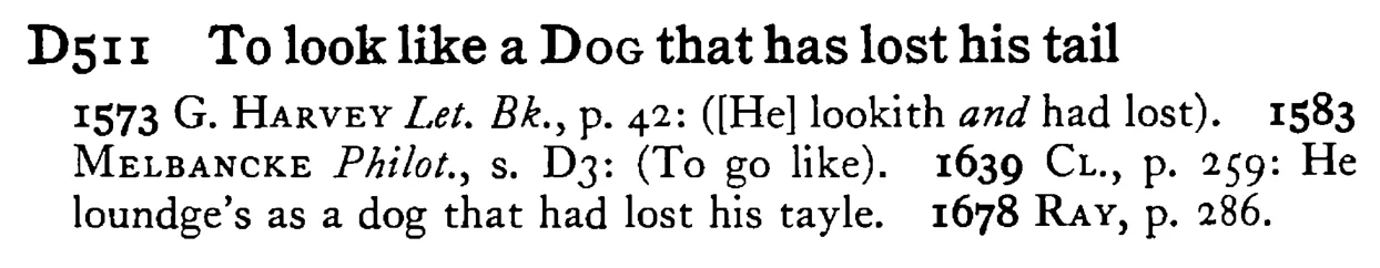 To look like a DOG that has lost his tail - a scanned entry from Tilley's 1950 Dictionary of Proverbs.