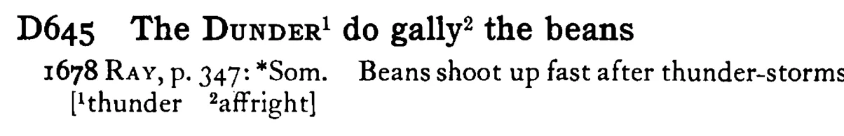 The DUNDER¹ do gally² the beans - a scanned entry from Tilley's 1950 Dictionary of Proverbs.