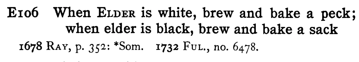 When ELDER is white, brew and bake a peck; when elder is black, brew and bake a sack - a scanned entry from Tilley's 1950 Dictionary of Proverbs.