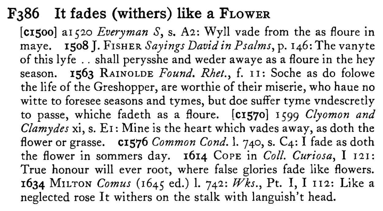 It fades (withers) like a FLOWER - a scanned entry from Tilley's 1950 Dictionary of Proverbs.