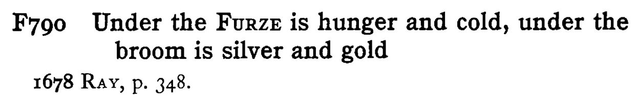 Under the FURZE is hunger and cold, under the broom is silver and gold - a scanned entry from Tilley's 1950 Dictionary of Proverbs.