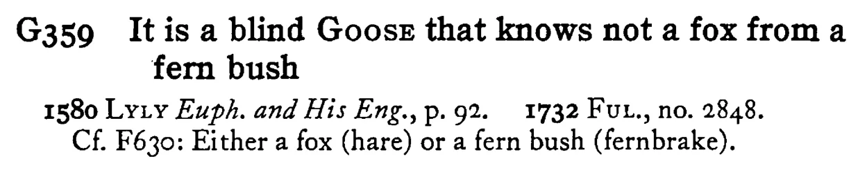It is a blind GOOSE that knows not a fox from a fern bush - a scanned entry from Tilley's 1950 Dictionary of Proverbs.