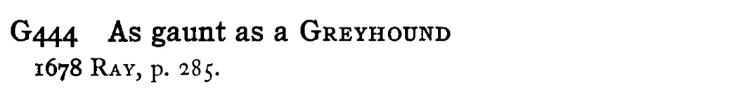 As gaunt as a GREYHOUND - a scanned entry from Tilley's 1950 Dictionary of Proverbs.
