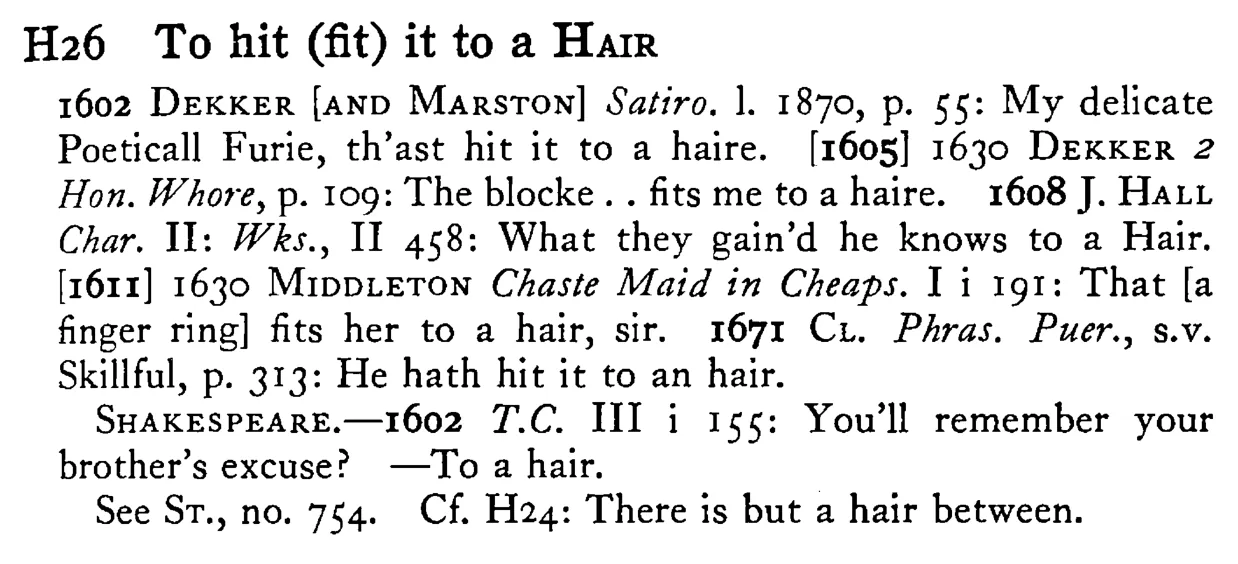 To hit (fit) it to a HAIR - a scanned entry from Tilley's 1950 Dictionary of Proverbs.