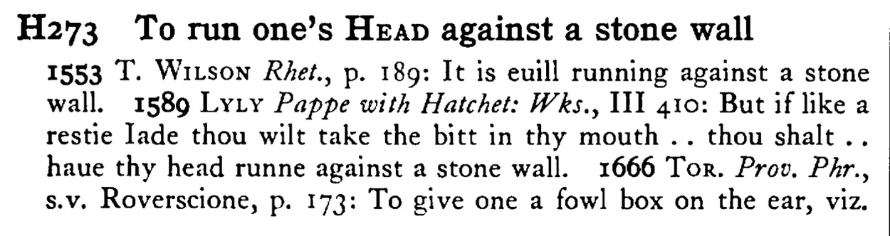 To run one's HEAD against a stone wall - a scanned entry from Tilley's 1950 Dictionary of Proverbs.