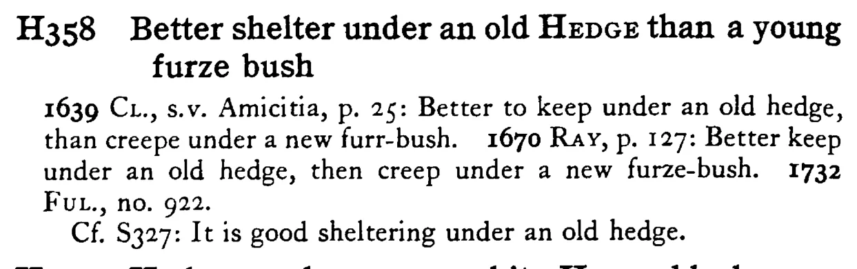 Better shelter under an old HEDGE than a young furze bush - a scanned entry from Tilley's 1950 Dictionary of Proverbs.