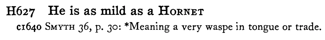 He is as mild as a HORNET - a scanned entry from Tilley's 1950 Dictionary of Proverbs.