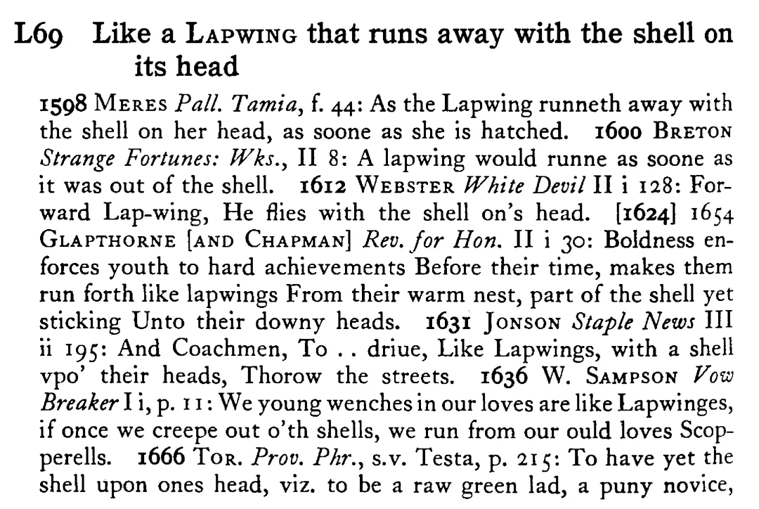 Like a LAPWING that runs away with the shell on its head - a scanned entry from Tilley's 1950 Dictionary of Proverbs.