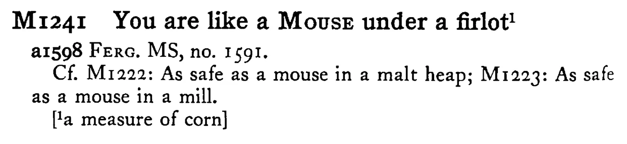 You are like a MOUSE under a firloť¹ - a scanned entry from Tilley's 1950 Dictionary of Proverbs.