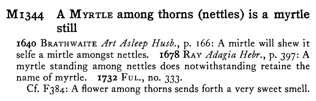A MYRTLE among thorns (nettles) is a myrtle still - a scanned entry from Tilley's 1950 Dictionary of Proverbs.