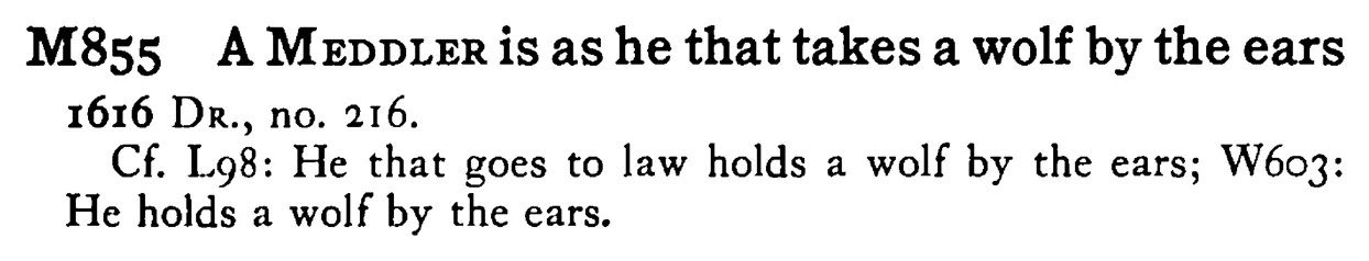 A MEDDLER is as he that takes a wolf by the ears - a scanned entry from Tilley's 1950 Dictionary of Proverbs.