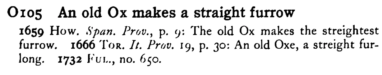 An old OX makes a straight furrow - a scanned entry from Tilley's 1950 Dictionary of Proverbs.