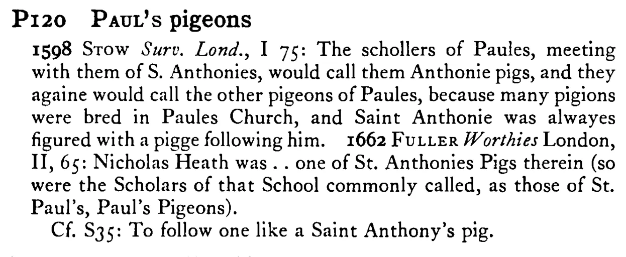 PAUL's pigeons - a scanned entry from Tilley's 1950 Dictionary of Proverbs.