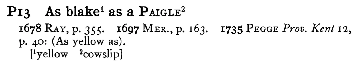 As blake¹ as a PAIGLE² - a scanned entry from Tilley's 1950 Dictionary of Proverbs.