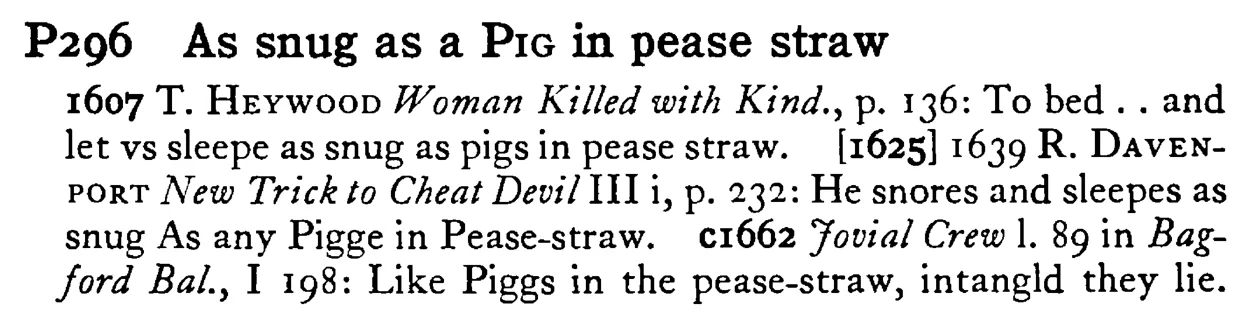 As snug as a PIG in pease straw - a scanned entry from Tilley's 1950 Dictionary of Proverbs.