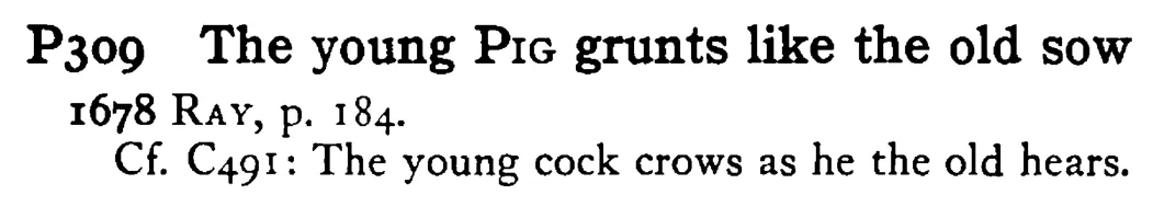 The young PIG grunts like the old sow - a scanned entry from Tilley's 1950 Dictionary of Proverbs.