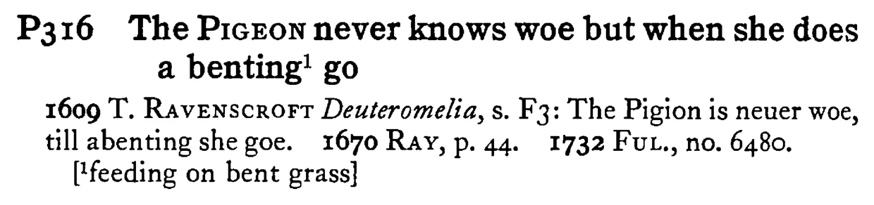 The PIGEON never knows woe but when she does a benting¹ go - a scanned entry from Tilley's 1950 Dictionary of Proverbs.