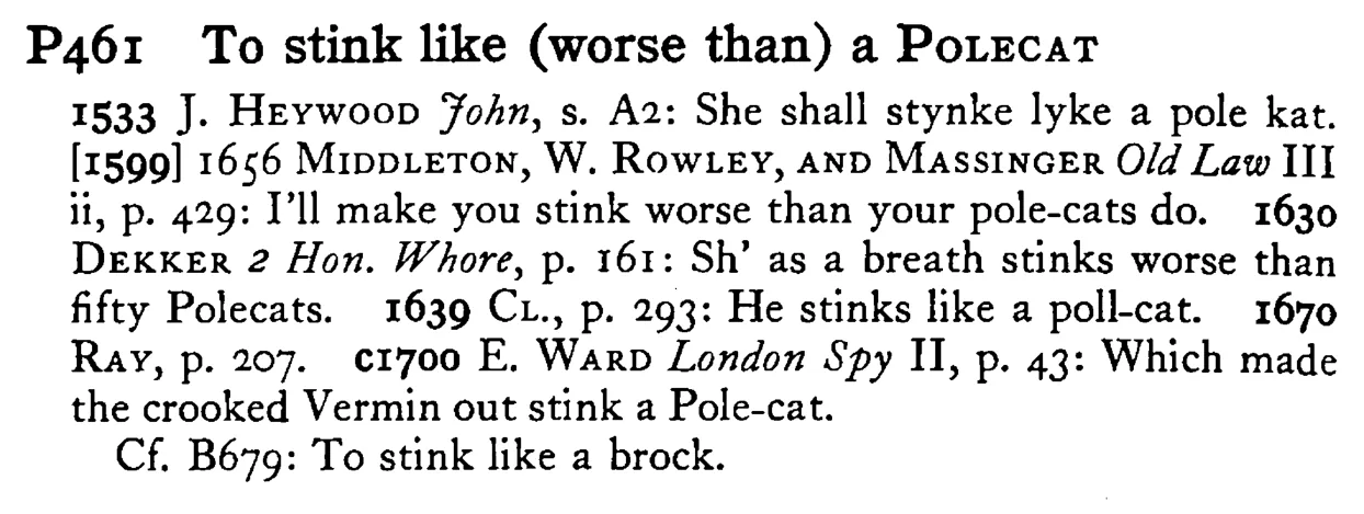 To stink like (worse than) a POLECAT - a scanned entry from Tilley's 1950 Dictionary of Proverbs.